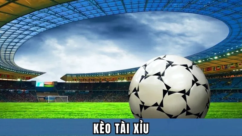 Khám Phá Thế Giới tỷ lệ nhà cái - Từ Cơ Bản Đến Nâng Cao